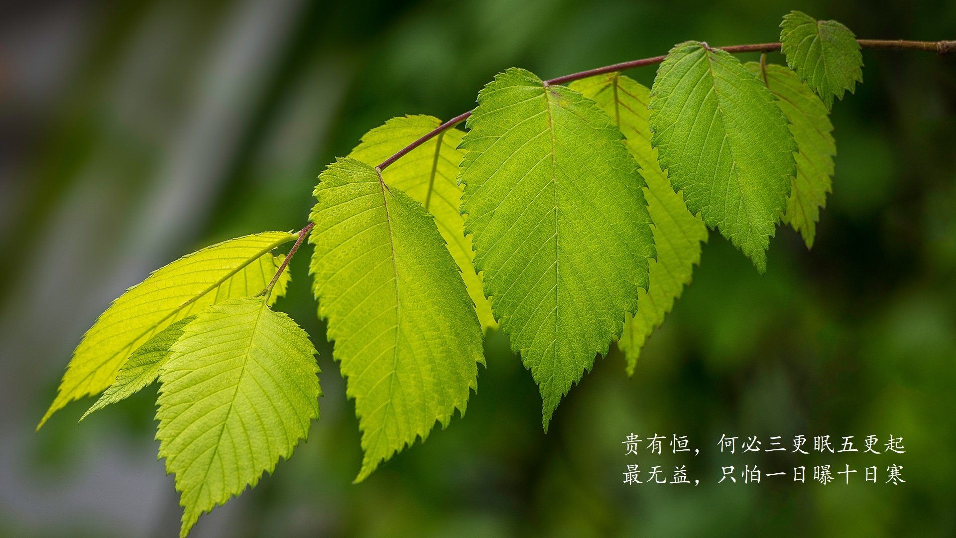 “逆风翻盘：令人热血沸腾的魔幻瞬间”，逆风翻盘的电影