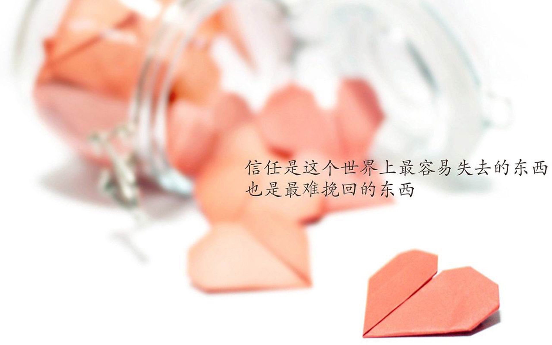 国际运动更新：女子比赛中的惊险一幕！，国外女子比赛