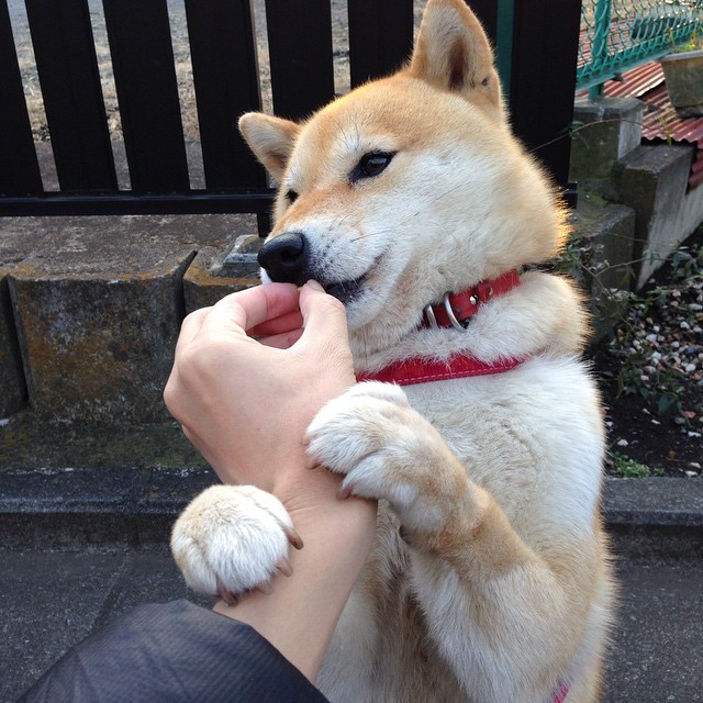 智能体育装备对训练效率的影响研究，智能体育使用的技术