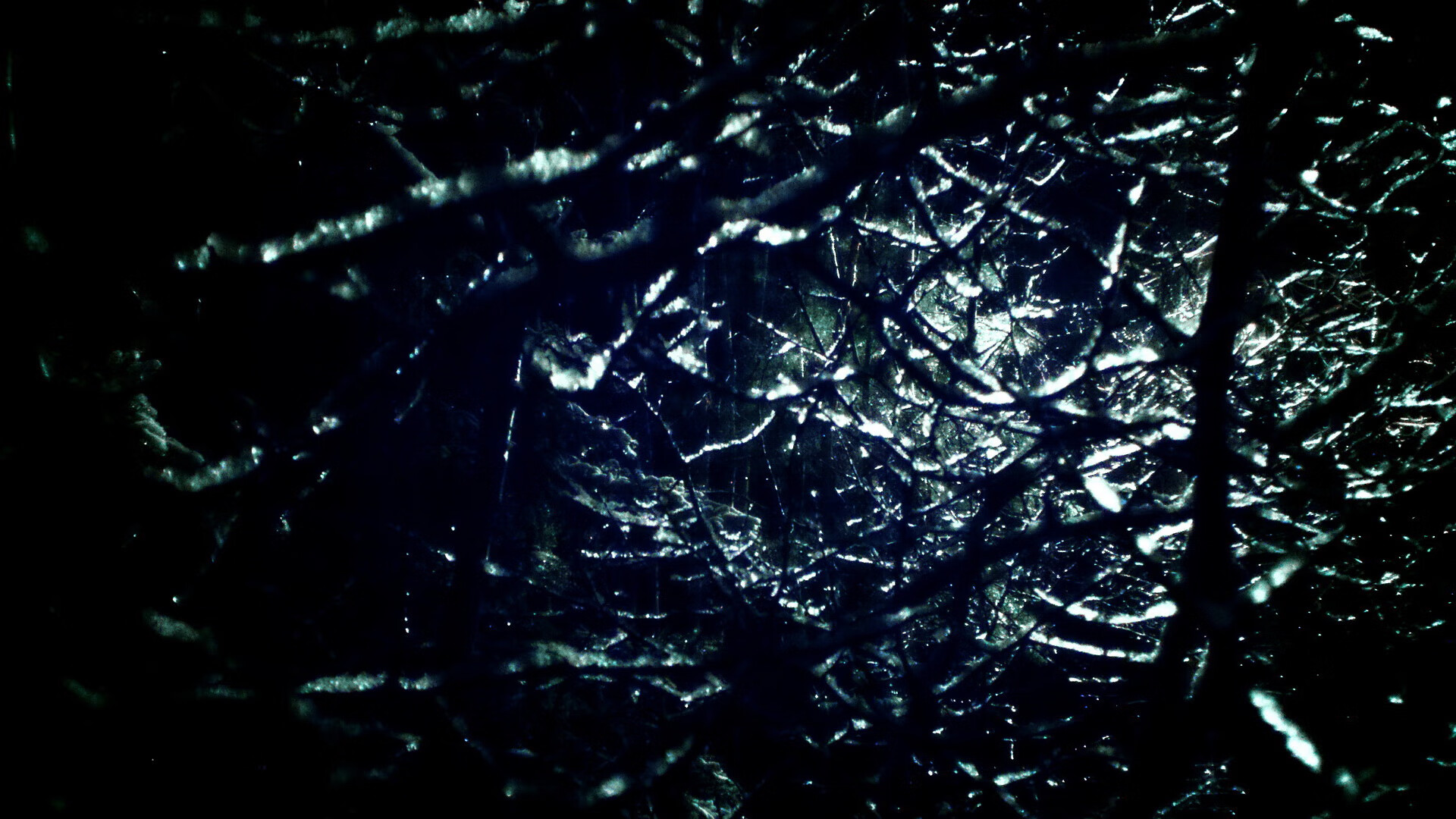 中澳仰泳对决成整场走向关键，澳大利亚仰泳