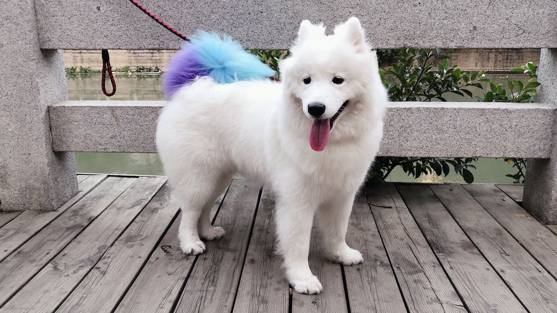 争冠球队战术细节差异如何决定胜率，争冠组规则