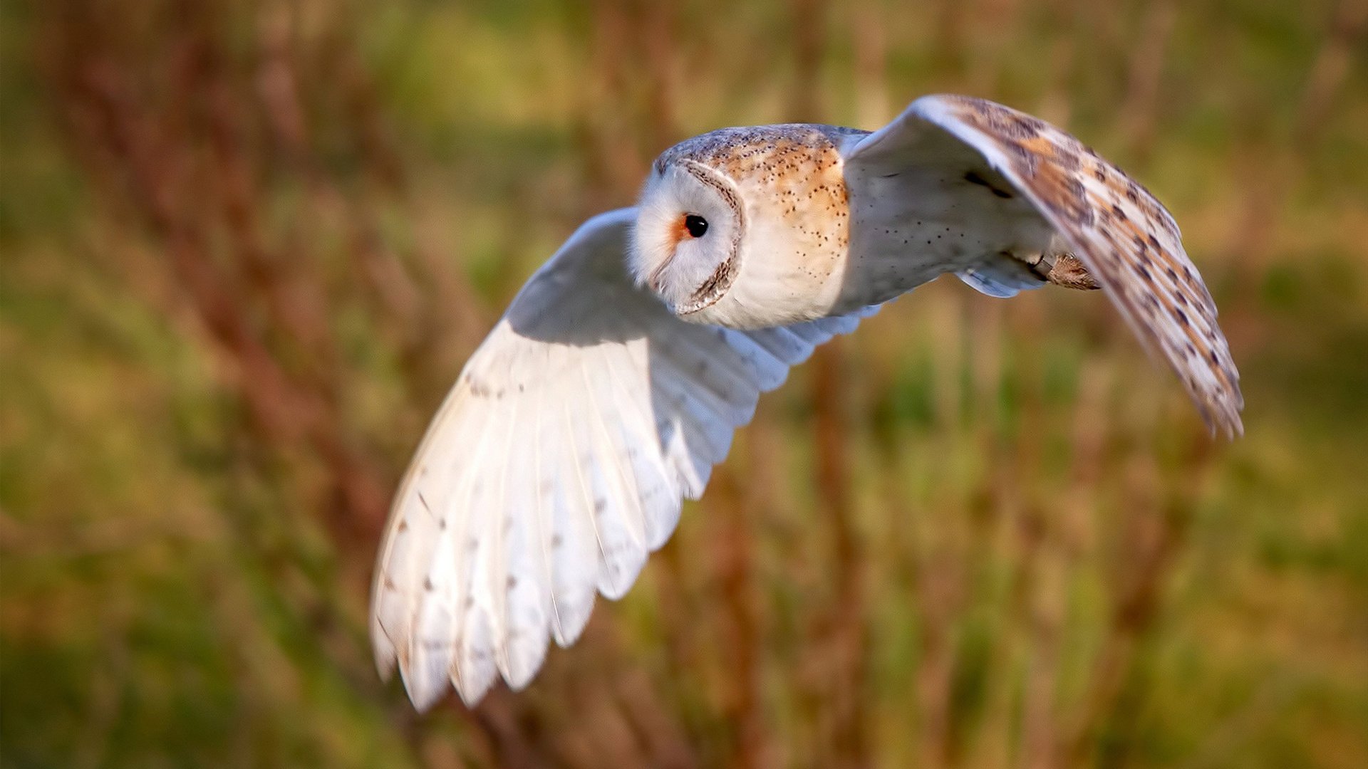 爱游戏电竞官网-保守阵型防守固守是否能经受强队持续冲击，稳固防守