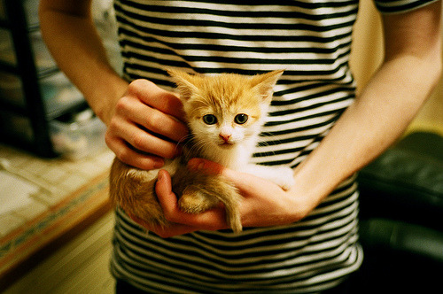 弗赖堡锋线冲击力增强打出关键突破，弗赖堡前锋