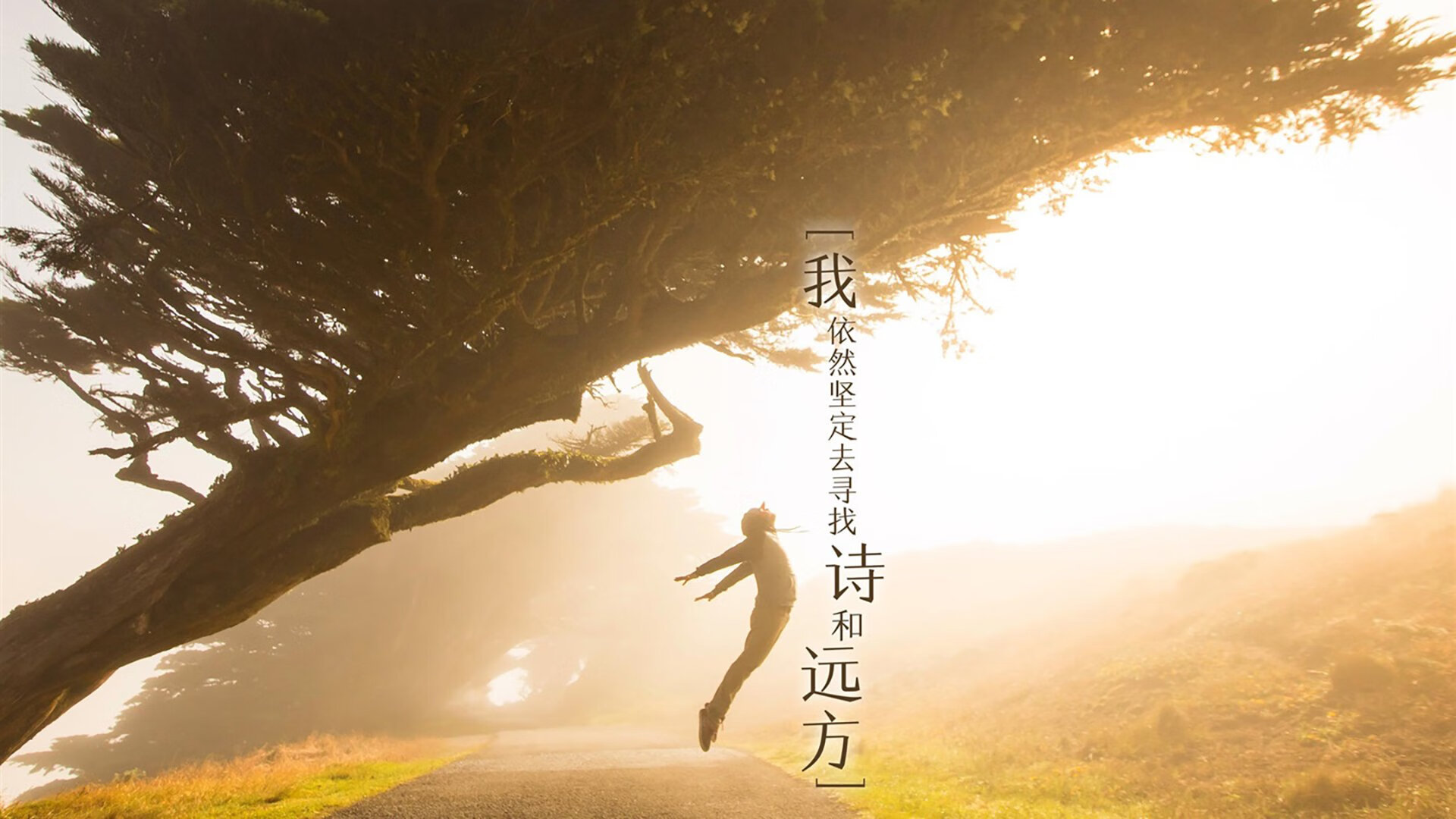 田径国家队心理干预计划全面实施，田径国家队心理干预计划全面实施了吗