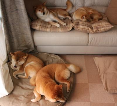 Popovici摘得男子100 m自由泳银牌