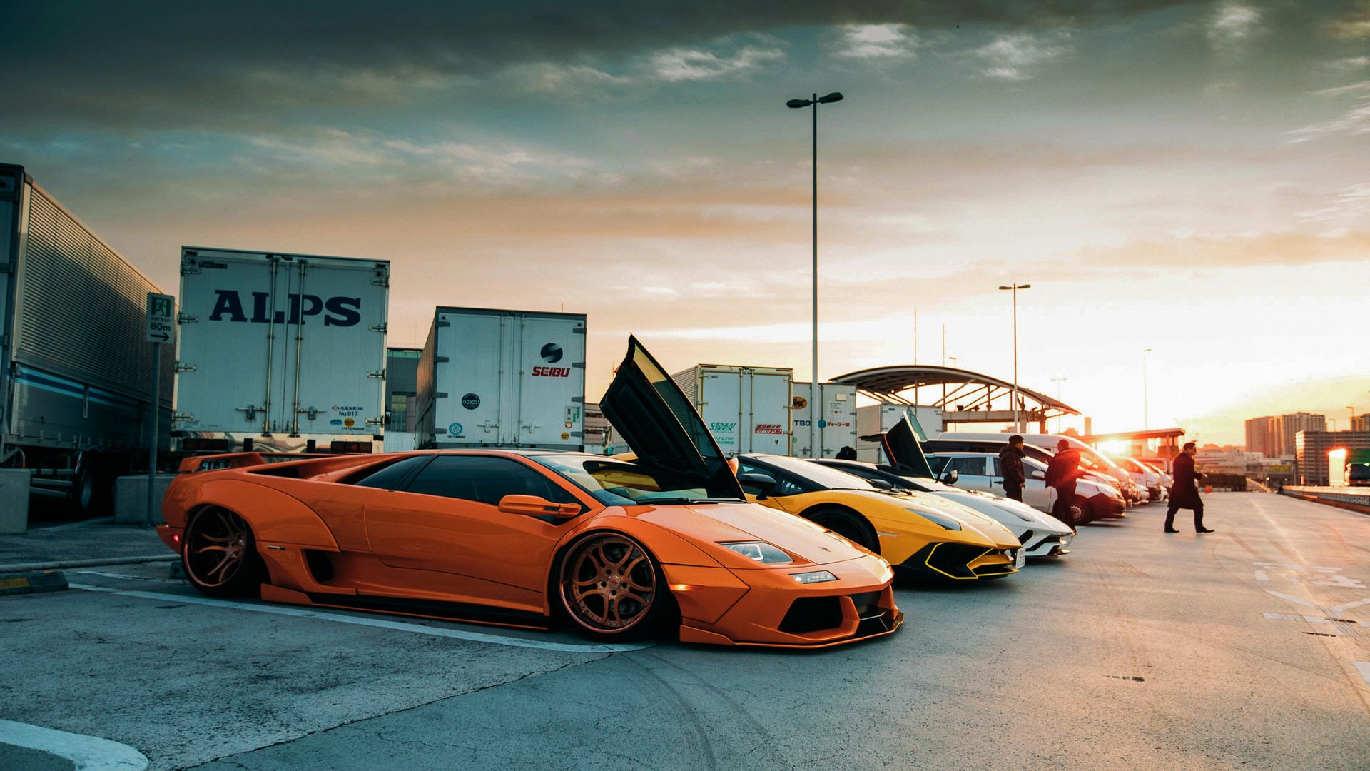 自由泳预赛波兰选手全部晋级,自由泳国际比赛