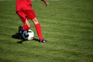 爱游戏体育入口-中国篮球教练员战术执行能力评估体系，中国篮球教练员培训等级